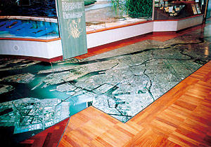 自然史博物館（大阪市長居公園）
